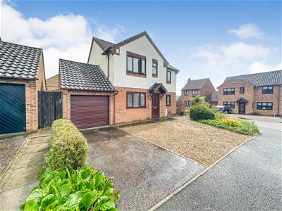 Picture 35